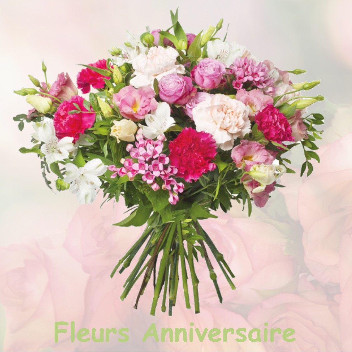 fleurs anniversaire CONFLANS-EN-JARNISY